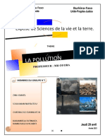 EXPOSE SUR LA POLLUTION Au Burkina Faso