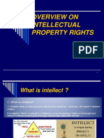 Overview On Intellectual Property Rights