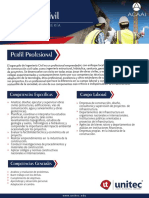 Ingeniería Civil: Perfil Profesional