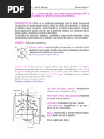 A2 Promorfologia