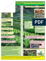 Infografia Ecotecnia Agroecologia - Colin Leonardo.