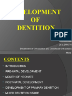 Development of Dentition