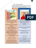 Skarn y Porfido Cuprífero