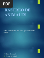 Rastreo de Animales