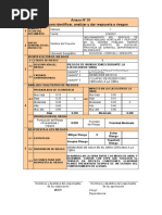 Formatos Riesgos Exp Tec