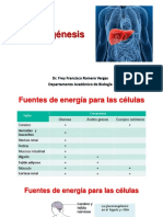 Gluconeogenesis Quim