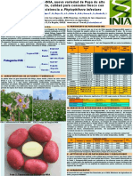 Patagonia-INIA, Nueva Variedad de Papa de Alto Rendimiento, Calidad para Consumo Fresco Con Buena Resistencia A Phytophthora Infestans (PowerPoint)