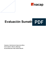 Pauta de Trabajo Evaluacion Sumativa 4