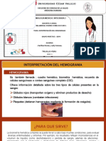 Expo Vane Interpretacion Del Hemograma