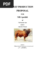 BEEF PROJECT PROPOSAL Mudede