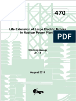 Life Extension of Large Electric Motors