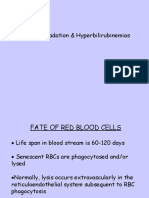 Heme Degradation & Hyperbilirubinemias