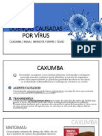 Aula 04 DOENÇAS CAUSADAS POR VÍRUS Caxumba, Raiva, Meningite, Gripes 