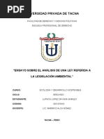 Ensayo Legislación Ambiental - Dayana Lupaca Lopez