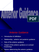 Anterior - Guidance