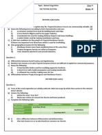 Natural Vegetation (Test)