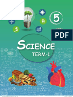 Standard Five Term - Science