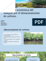 Valoración Económica Del Manglar Por El Almacenamiento de