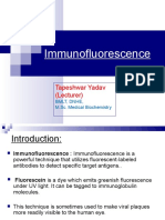 Immunofluorescence: Tapeshwar Yadav (Lecturer)