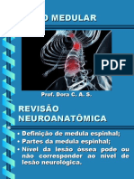 8 - Lesão Medular