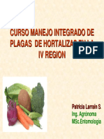 Curso Mip Hortalizas1