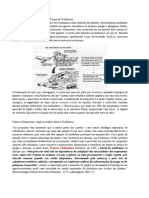 Teoria Da Trofobiose - Síntese