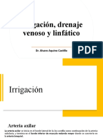 Irrigación, Drenaje Venoso y Linfático