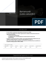 Digestibilidad in Vivo e in Vitro 