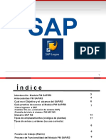 0 Guia Introduccion Sap