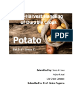 Post-Harvest Handling of Durable Crops: Potato