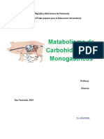 Metabolismo de Los Carbohidratos en Monogastricos 3