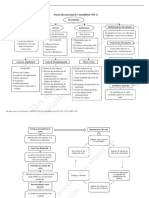 NIC 2 Mapa Conceptual PDF