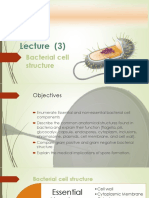 Lecture (3) : Bacterial Cell Structure