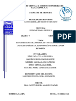 Enfermedades Transmisibles y No Transmisibles Canales Endémicos, Elaboración e Importancia en Salud