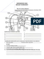 Circulatory System Revision Worksheet