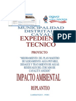 Estudio de Impacto Ambienta Replanteo