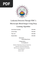 Leukemia Detection Through WBC's Microscopic Blood Images Using Deep Learning Algorithm