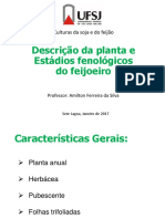 Descrição Da Planta e Fenologia