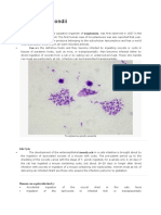 Toxoplasma Gondii