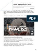 Essay On Environmental Pollution A Global Problem PDF