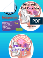 Histologia!! Encefalo