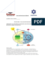 Atividade Fase Clara e Escura FotossínteseMarco