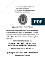 Proyecto de Tesis