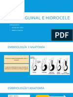 Hernia Inguinal e Hidrocele