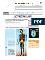 4 Cyt-Ficha Trabajo N13.2-Sistema Nervioso Humano