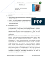 Practica #08 Agentes Patógenos Que Atacan La Madera en Pie