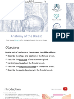 5 - Anatomy of The Breast