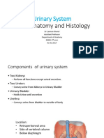 Gross Anatomy and Histolgy of Urinarysystem