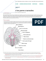 4 Introducción A Los Pares Craneales - Enfermedades Cerebrales, Medulares y Nerviosas - Manual MSD Versión para Público