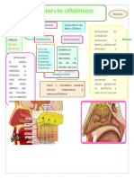 NERVIO OFTALMICOgrupal